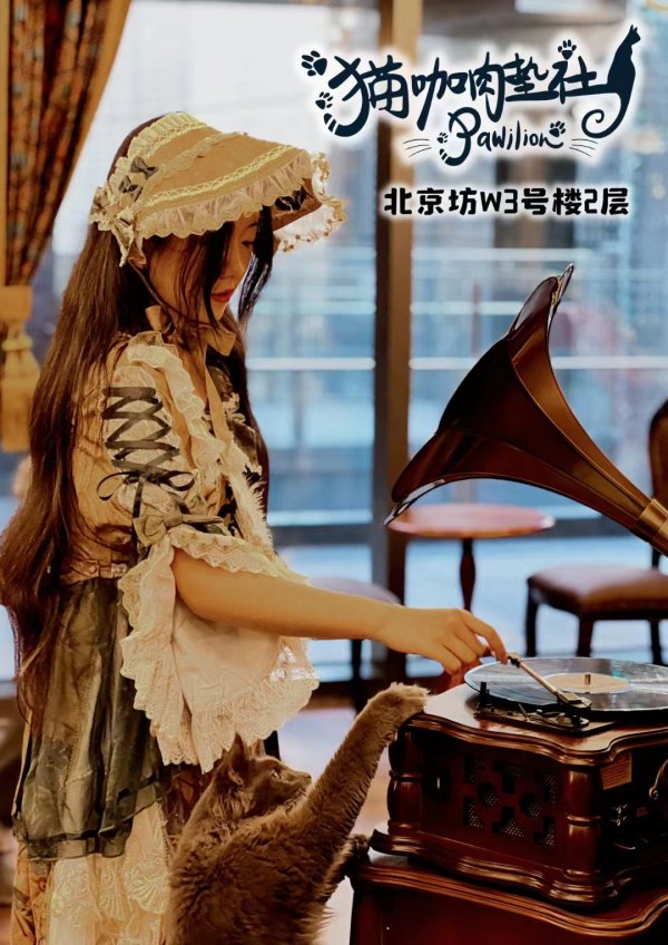 Cat and Girl in dress standing in front of a record player