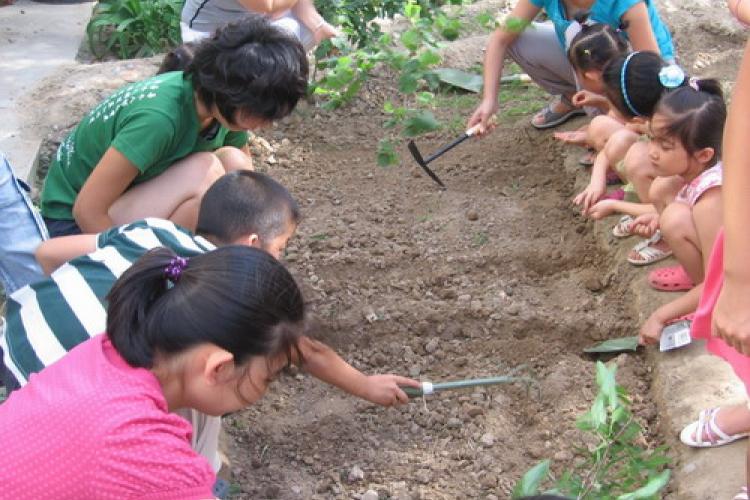 Back To Green: Root For Environmental Education