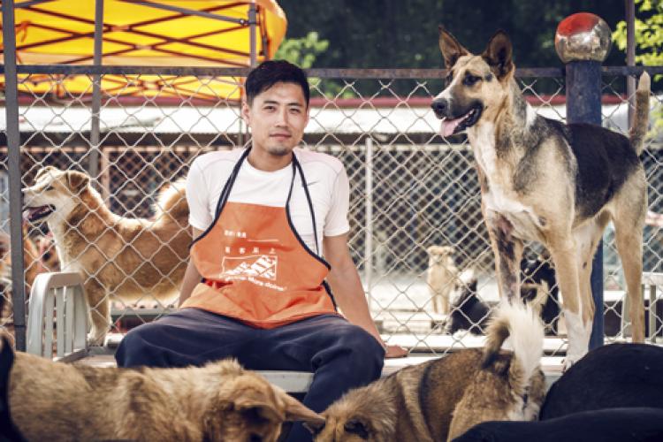 Dog’s Best Friend - Xiangping Xu’s dogged tale of animal activism