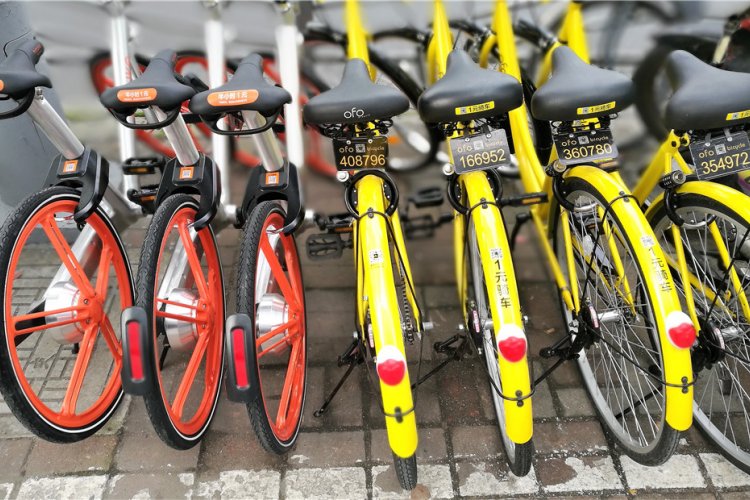 O2O Bike-Rental Deposits in China May Not be as Secure as Users Think