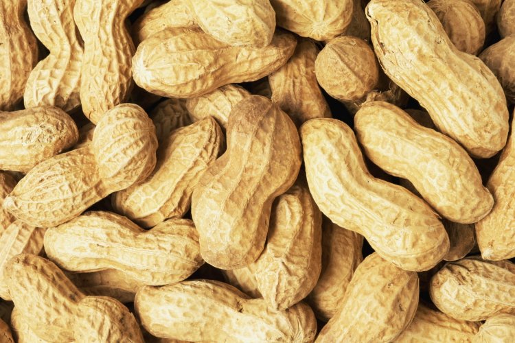 How to Cope With a Peanut Allergy in China