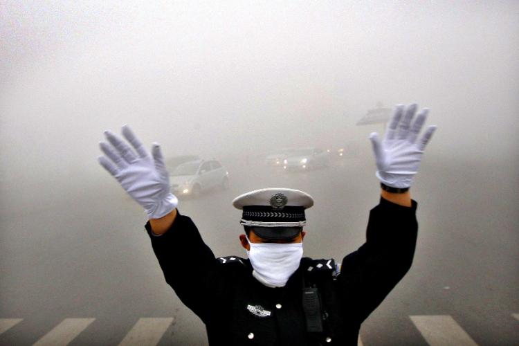 Feeling Flabby? New Research Shows the Smog May Be to Blame