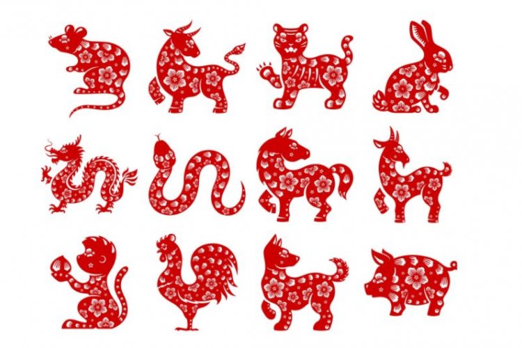 Mandarin Monday: How to Talk About Chinese Zodiac Signs