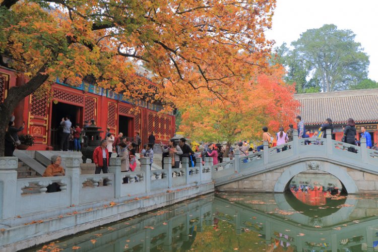 R Talking Travel: Xiangshan Deals With Annual Rush, Horticulture Expo Ticket Prices Plummet