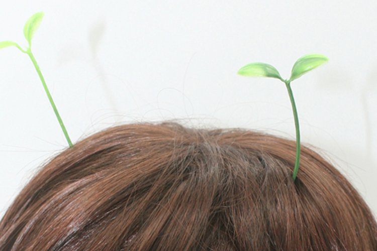 Throwback Thursday: When a Plastic Plant Became Beijing’s Hottest Hair Accessory