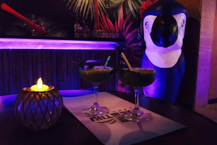 Go Tropical with Bungalow Tiki&#039;s Intoxicating New Iguana Room and Cocktail Menu  