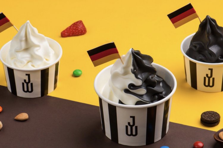 Froyo Frozen Yogurt German Dessert 