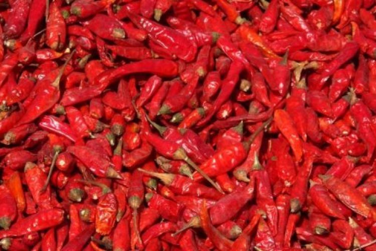 Tips to Cool Down Your Burning Lips at the Beijinger&#039;s Hot &amp; Spicy Festival This Weekend