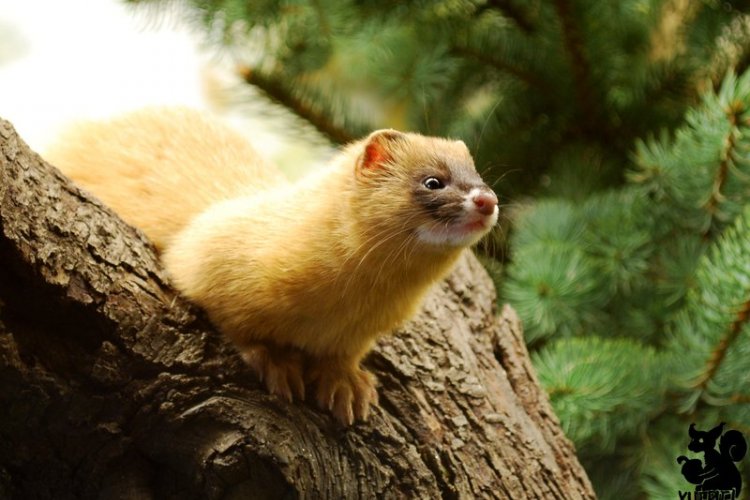 DP: Throwback Thursdays: When the Wild Creatures Were Roaming Beijing Streets