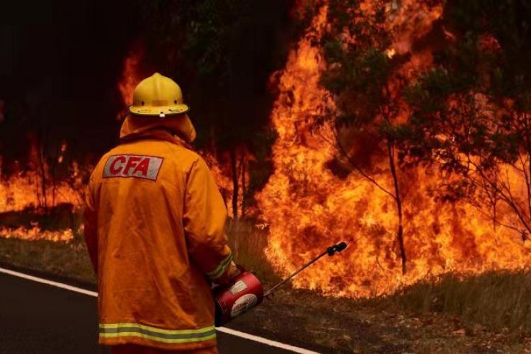 A firefighter looks on as flames blaze through the bush