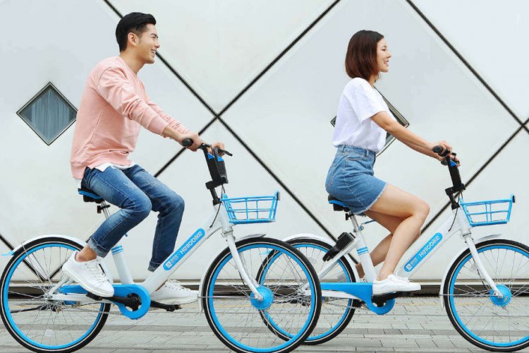 Hello TransTech to acquire ofo?