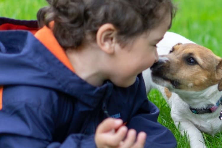 Family Fun at the Ruff n&#039; Rumble Adoption Day &amp; Bazaar