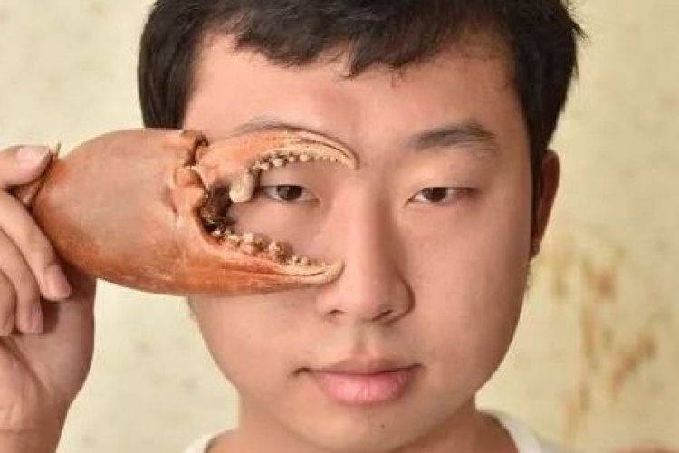 Douyin Dive: The Channel That Will Make Your Inner Entomologist Happy