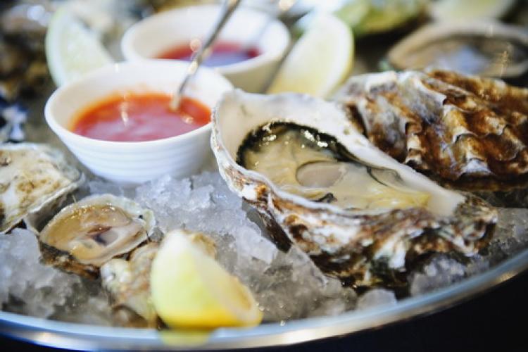 Oh Shucks: Beijing&#039;s Newest Oyster Bar