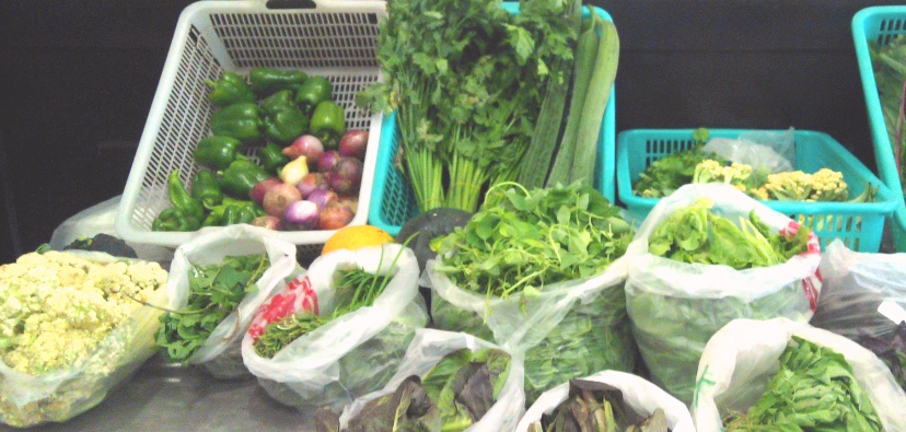 Another Organic Option: Modernista Welcomes Farm to Neighbors Market Every Weekend  