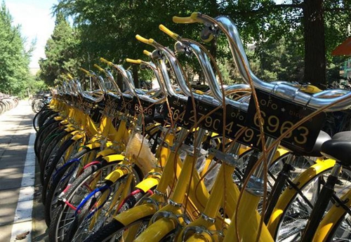 OFO Bicycles: The Miracle Answer for Wudaokou&#039;s Broke and Bikeless Students