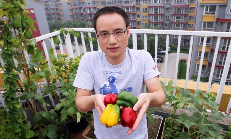 Kickstarting Beijing&#039;s Urban Farming Movement: Sanyuanli Garden Project Looking for Volunteers