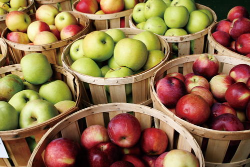 Have Your Pick and Eat It Too: Fruitpicking in Beijing’s Hinterlands