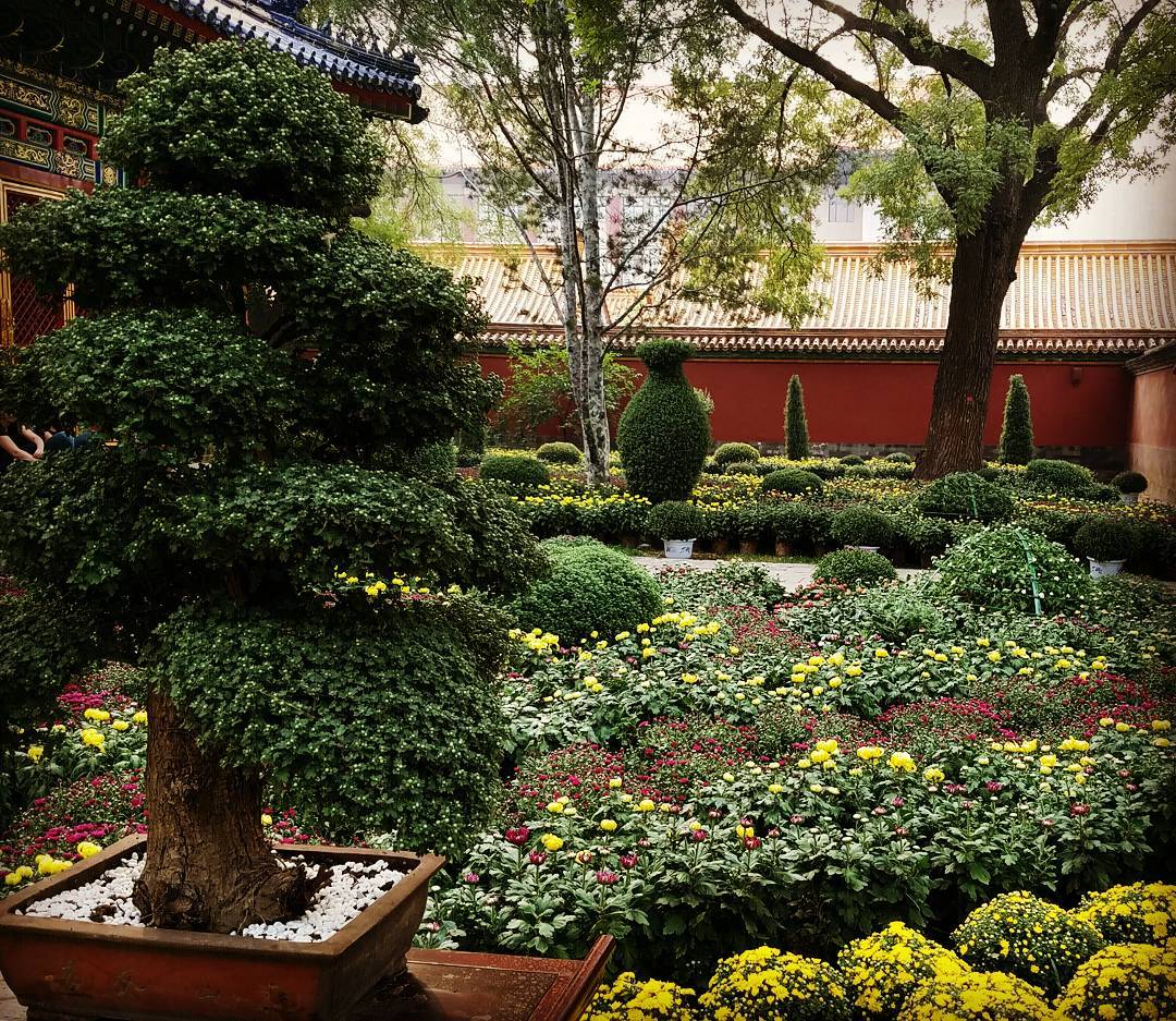 Modern Structures to be Demolished, New Areas Opened to the Public at the Forbidden City