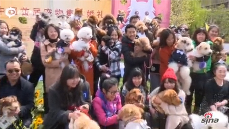 Got a Minute? Watch 21 Dog Couples Tie the Knot in Beijing