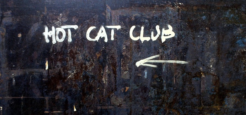 Fangjia Hutong&#039;s Hot Cat Club Raided Last Night