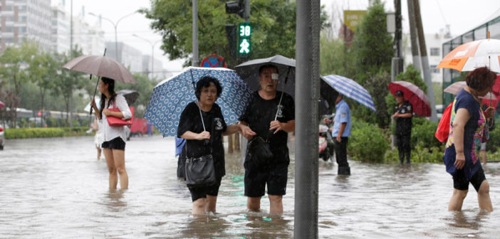 Musings on When it Rains 猫 and 狗