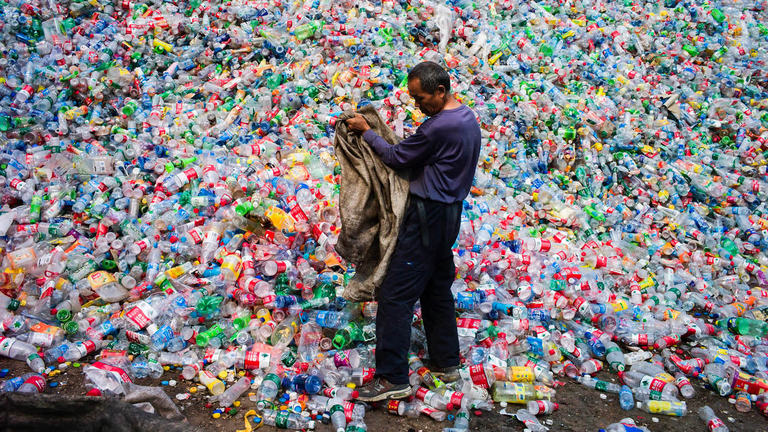 Beijing Releases Handy and Comprehensive Guide to Recycling in English