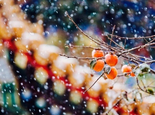 No Business Like Snow Business: Best Snaps of Beijing&#039;s First Snow of Winter 2017