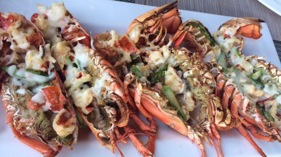 Free-flow Lobster and Surprising Indian Food at Café Cha