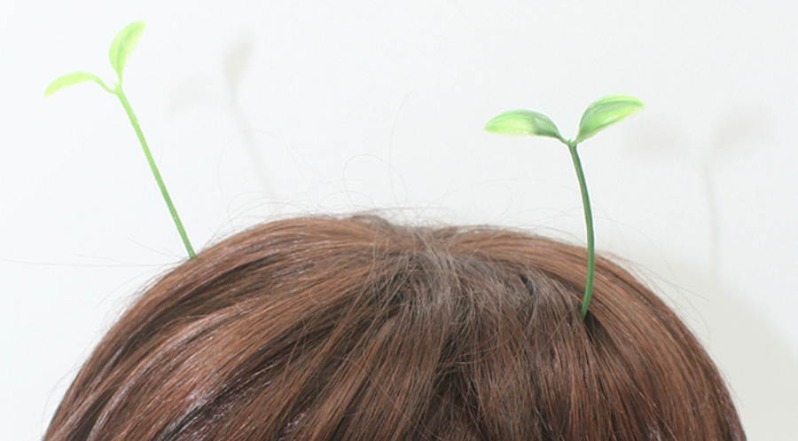 Why are Girls in Beijing Suddenly Wearing Sprouts in Their Hair?