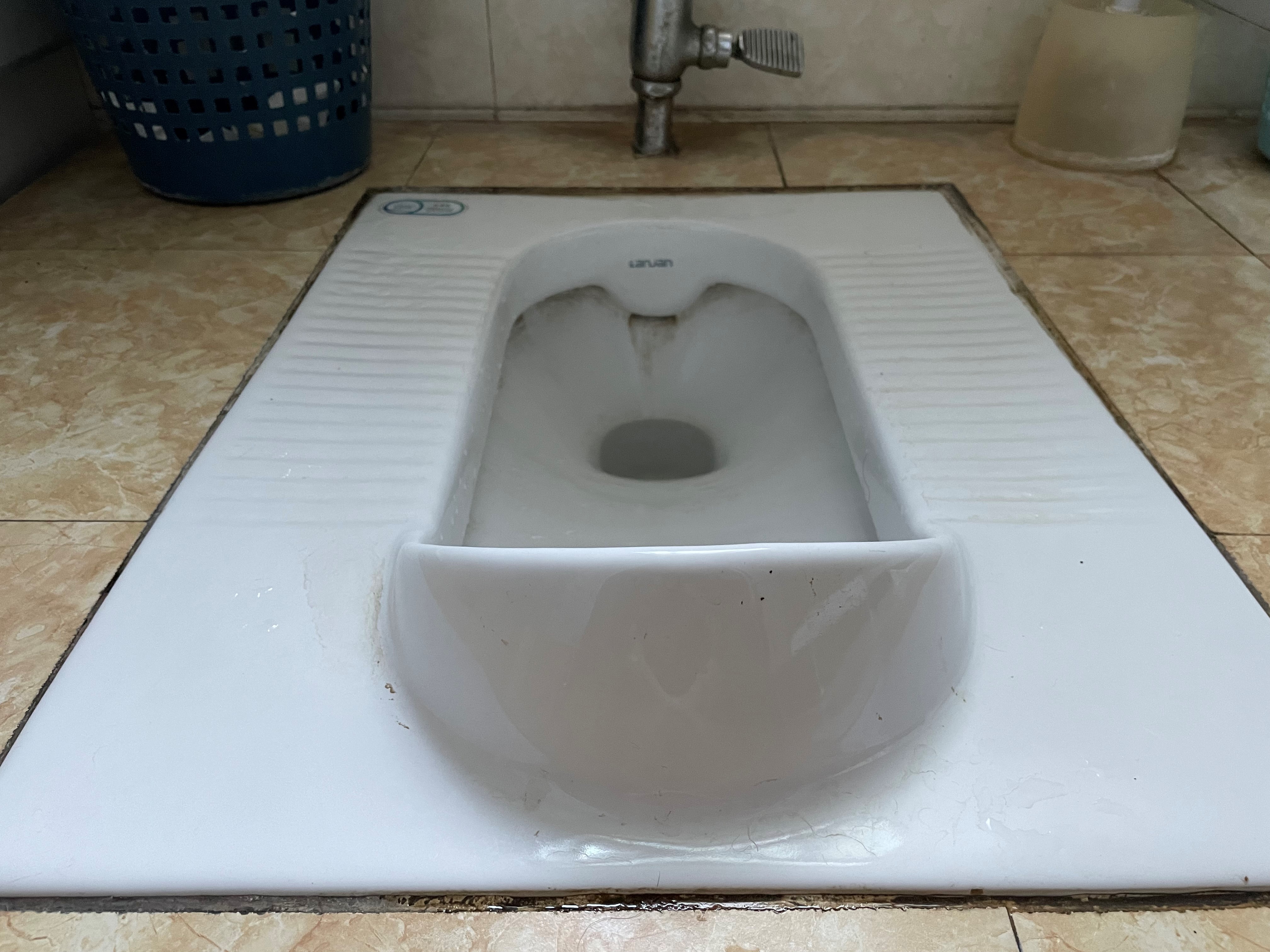 Poo Preference: Is Beijing Shifting Away from the Squatty Potty?