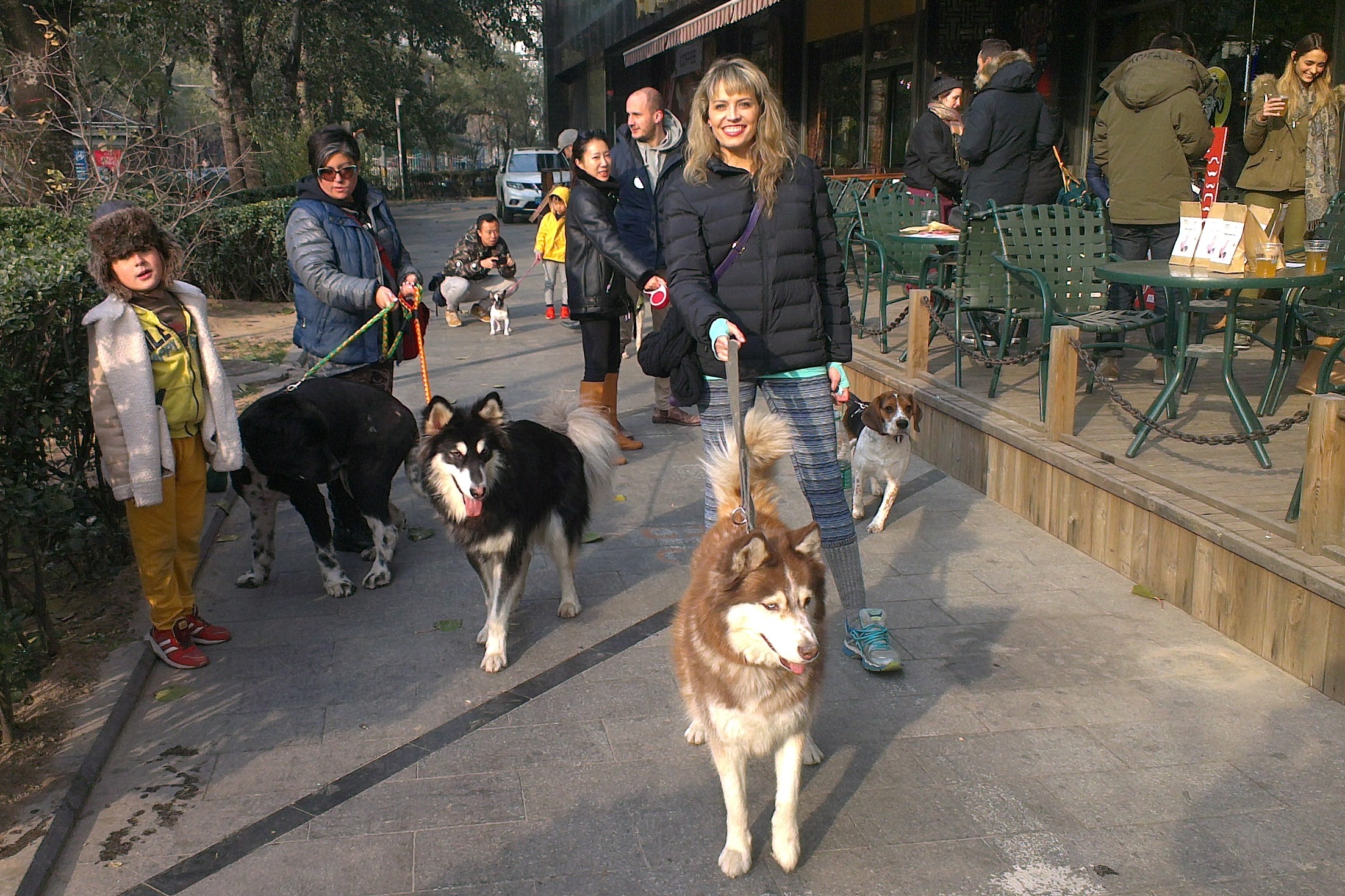 Pup-Friendly Pub Crawl: Bring Your Canine Along for This Fun Maovember Event 