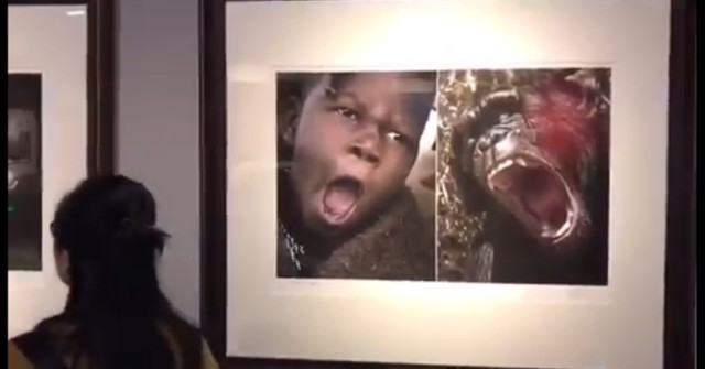 Activists in Beijing and Wuhan Successfully Spike Art Exhibit That Compared Africans to Animals  