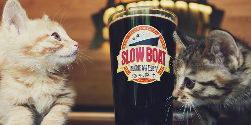 R What’s Up in Beer: New Brews at Great Leap, NBeer, and Slow Boat, Beer&amp;Cigar Pairing, GLB’sFundraising