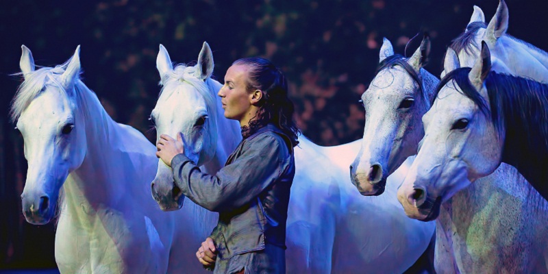 Horses Dancing at Chaoyang Park – Cavalia Show