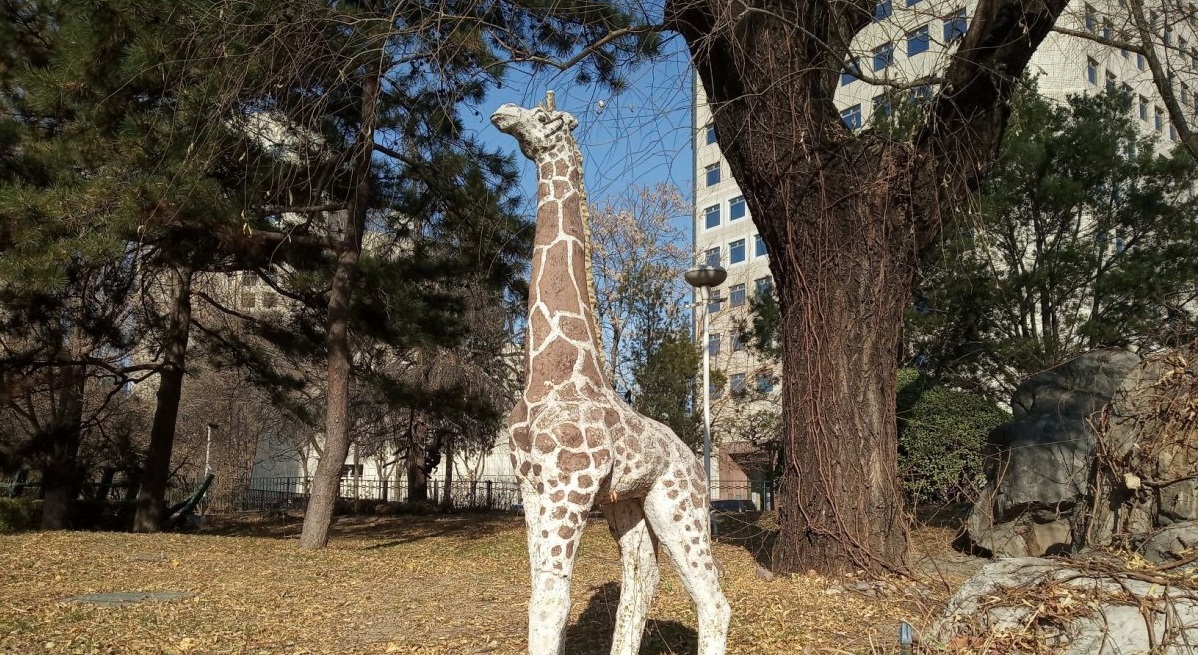 Animals Now Roam the Secret Garden of Great Wall Hotel