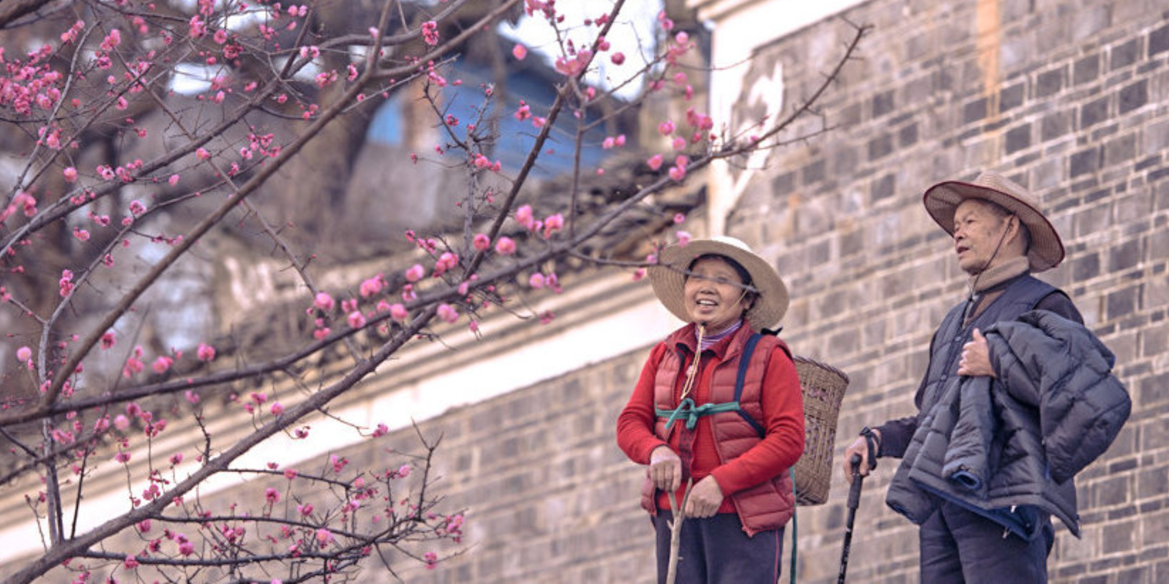 Sino Silver Screen: Two Generations Documented in the Deeply Moving &#039;Four Springs&#039;