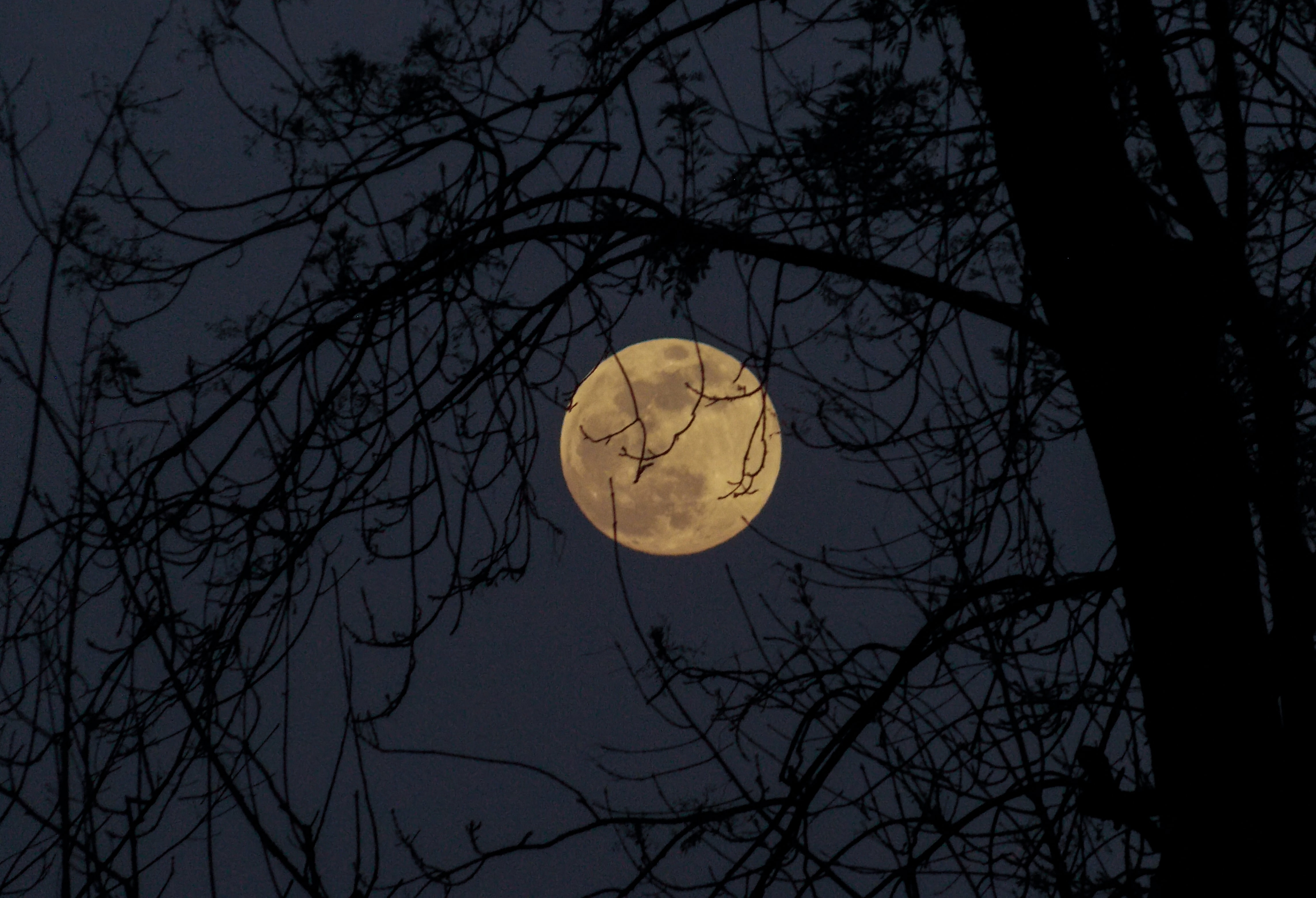 Mid-Autumn Festival: Top Places to Gaze at the Moon like a Local