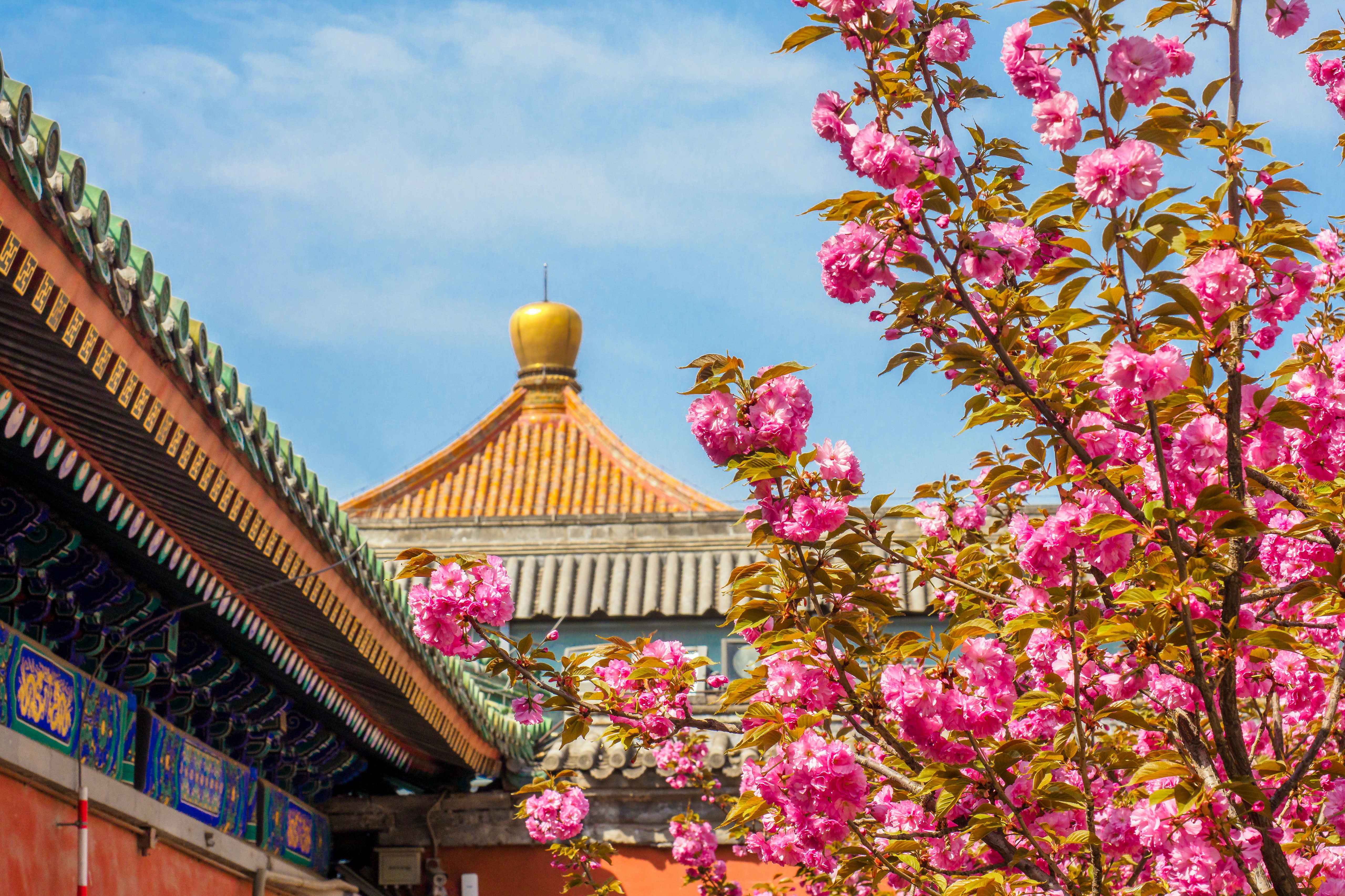 Mandarin Monday: Spring Poetry to Celebrate World Poetry Day