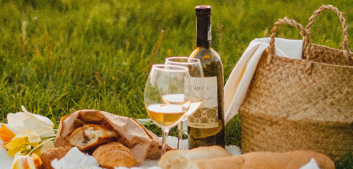 Picnic Essentials for a Perfect Summer Afternoon