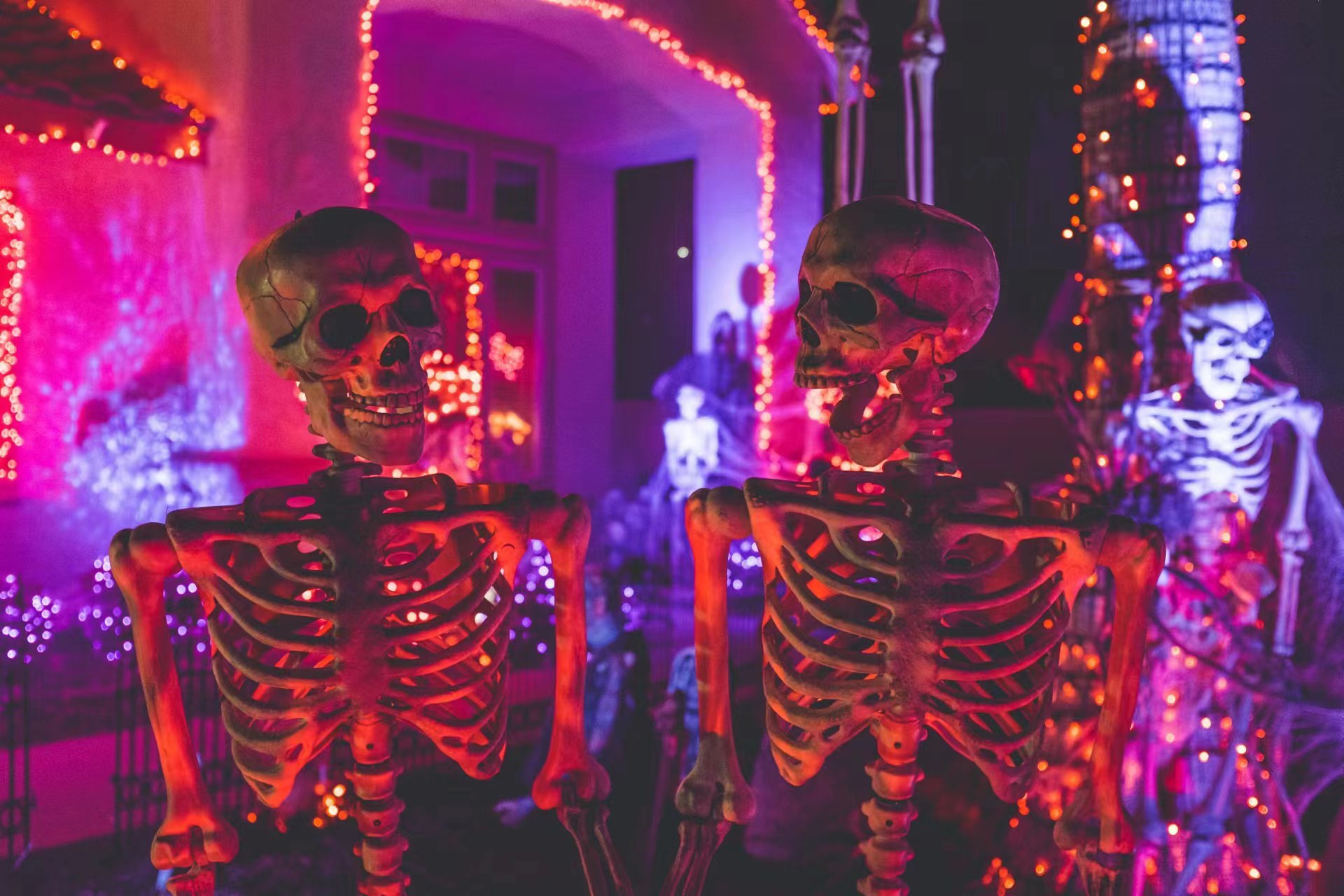 This is Halloween! 31 Things to Do for The Spookiest Weekend of the Year