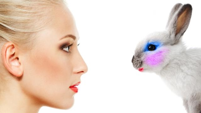 Beauty Not Cruelty: China Ends Animal Testing for General Cosmetics