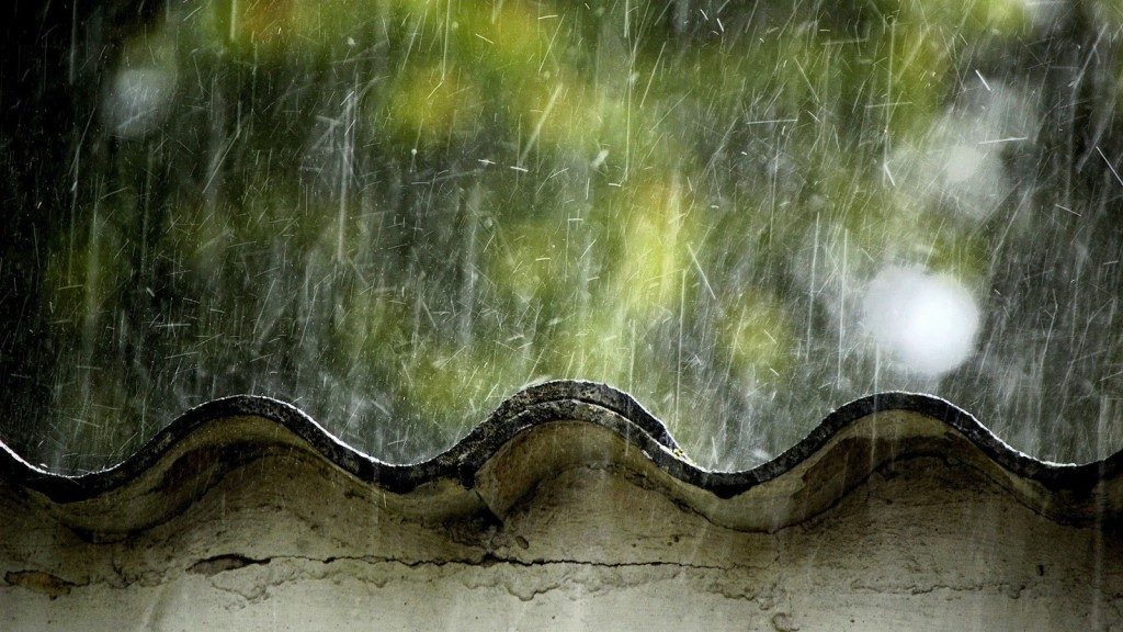 Solar Terms 101: Spring Rain Nourishes the Ground and Wakes Up Every Living Soul 