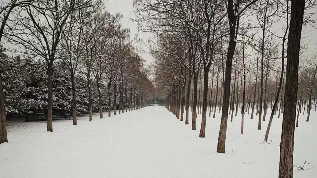 Brace Yourself, Beijing: Major Snowstorm on the Way!