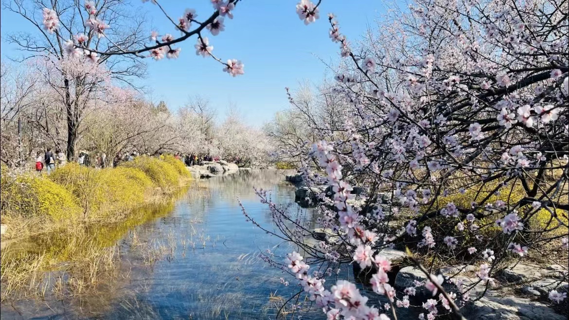 3 Places to Hike in Beijing This Spring