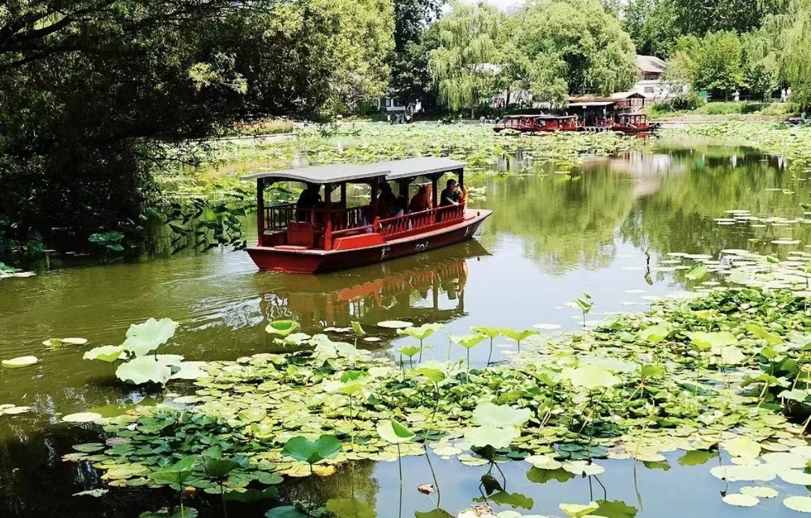 Three Places to Observe Beautiful Lotuses in Beijng This Summer