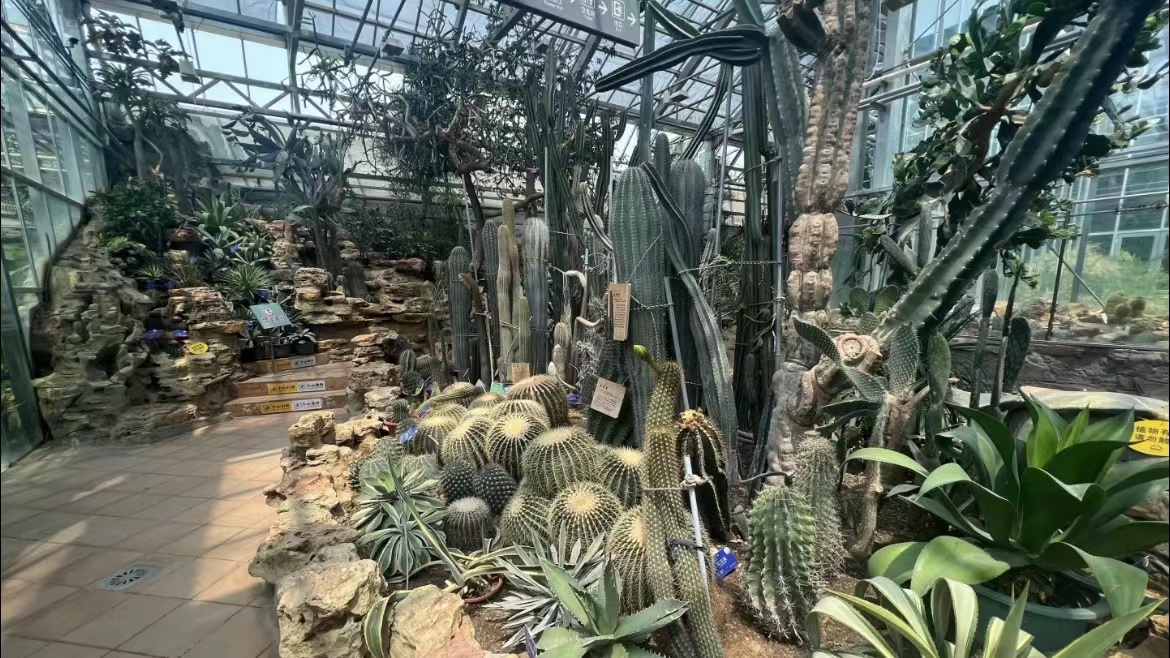 Five Exotic Plants to See At the National Botanical Garden