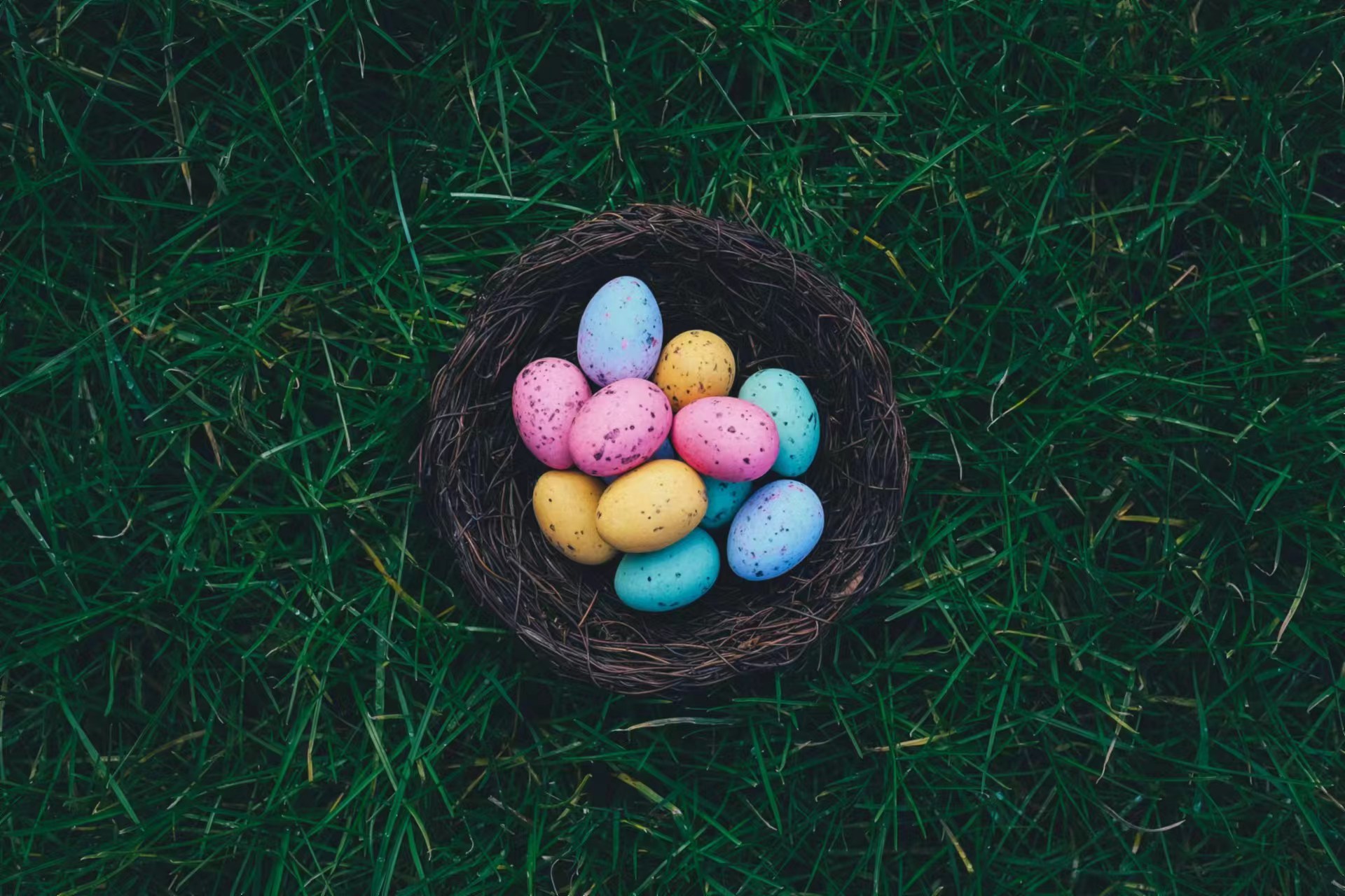 Celebrate Easter With These Eggciting Events and Deals Pt.2